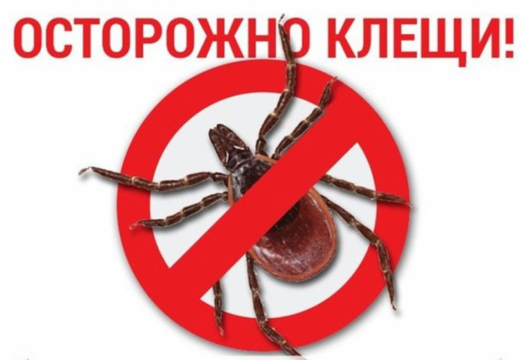 Осторожно клещи! Осторожно клещи!.